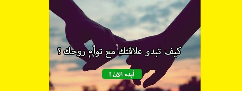 كيف تبدو علاقتك مع توأم روحك ؟